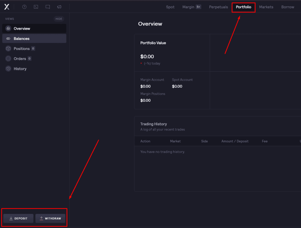 DYDX portfolio overview with withdrawal and deposit options