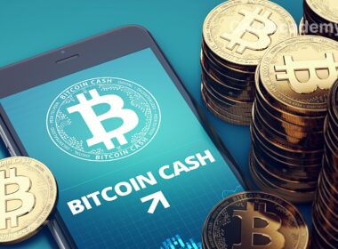 Bitcoin Cash version
